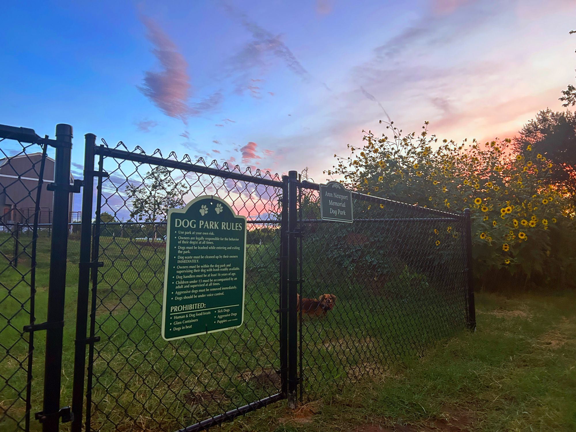Fenced in Dog Park Now Open