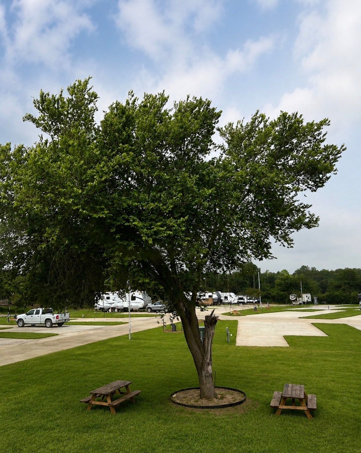 Picnic Areas
